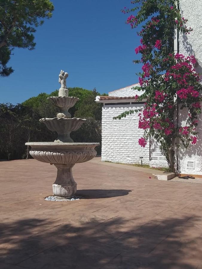 Entre Pinos Y Playa Matalascañas Exterior foto
